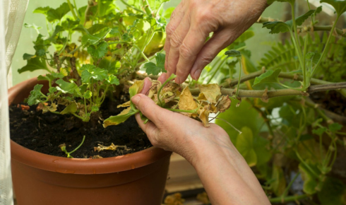 as soon as you notice them