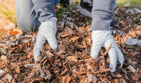mulch is surprisingly powerful